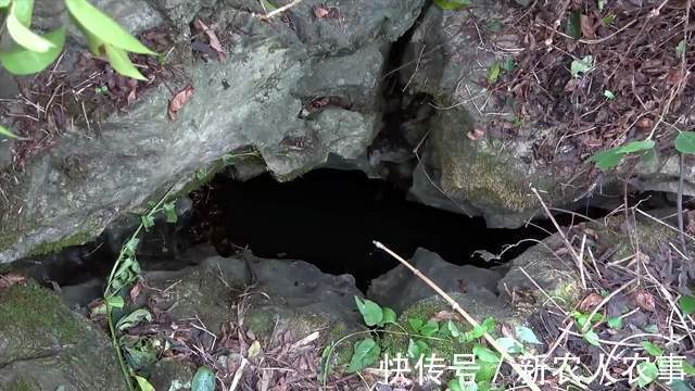 广西年轻夫妻俩组团野钓，小洞口里藏着米级大鲶鱼，最终遗憾回家