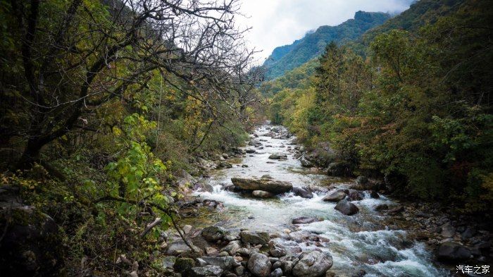 自然保护区|开着大唐去旅行——穿越太洋公路，赏黄柏塬醉美秋色（中篇）