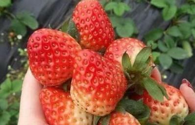 患者|糖尿病患者点“甜”不能沾？3种食物放心吃，还会让你更健康