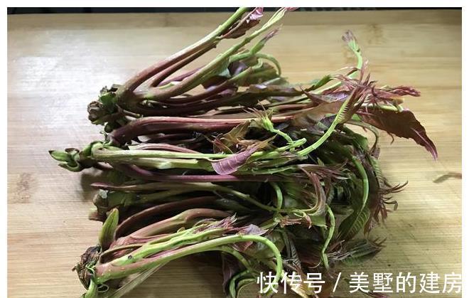 营养价值|5种必须要焯水后再吃的蔬菜,今天才知道原因,看后赶快告诉家人