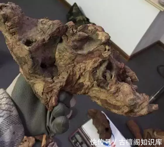 流油|丑得要死的木头,切开后竟然是紫的流油的紫油梨!