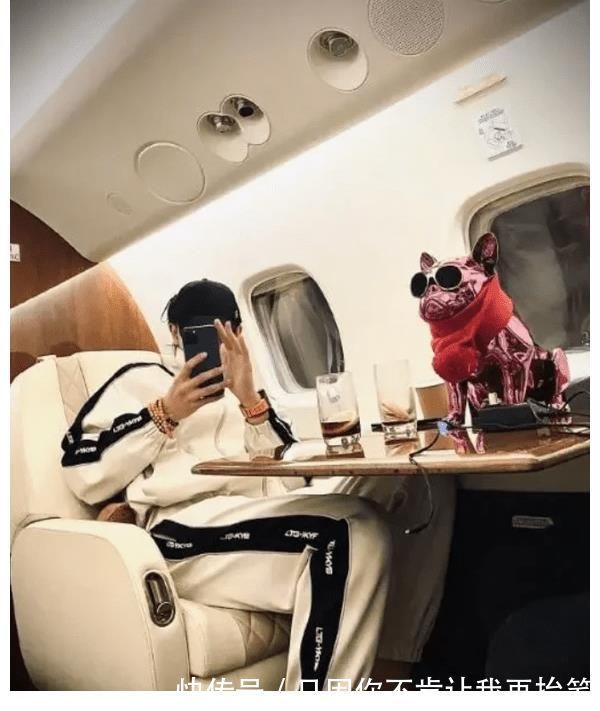黄子韬高调晒私人飞机，在高空享受牛排大餐，宠物狗独享豪华座椅