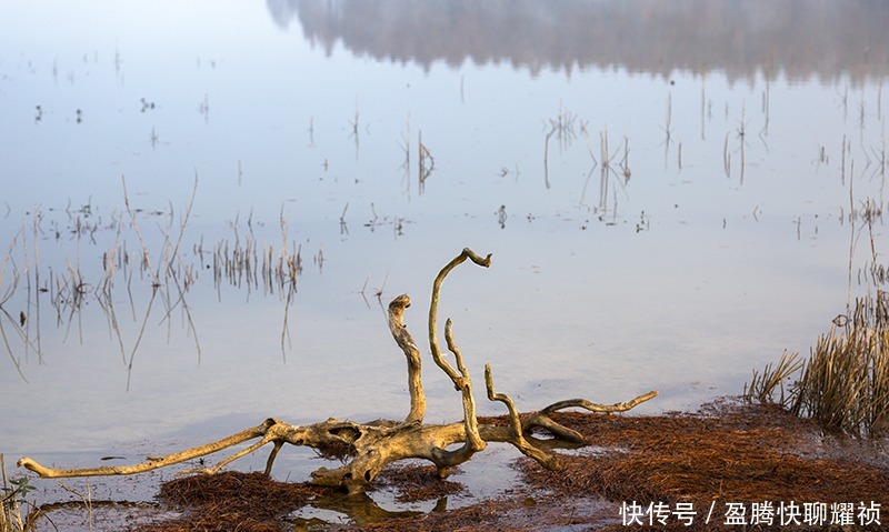 梦境|走进初冬的太子山，如同走进一场美丽的梦境