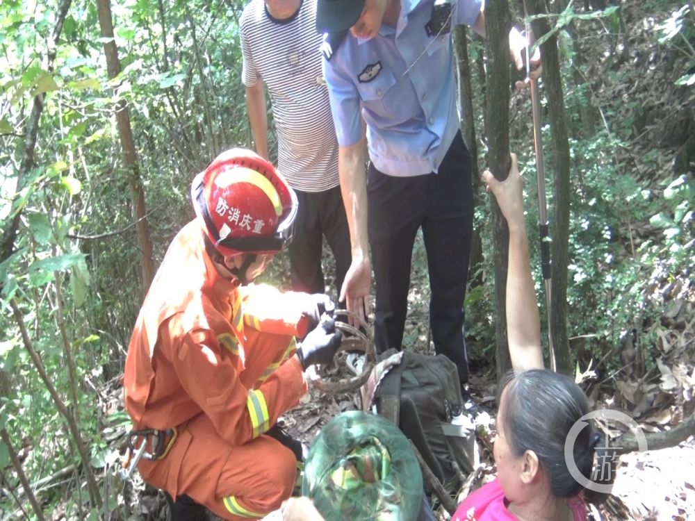 捕兽|大姐采蘑菇误踩捕兽夹 消防员紧急登山救援