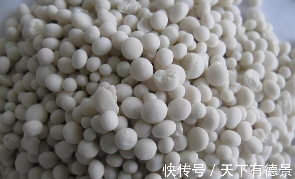 施肥|夏季给“绿萝”生长再提速，就要往里面加入这些料