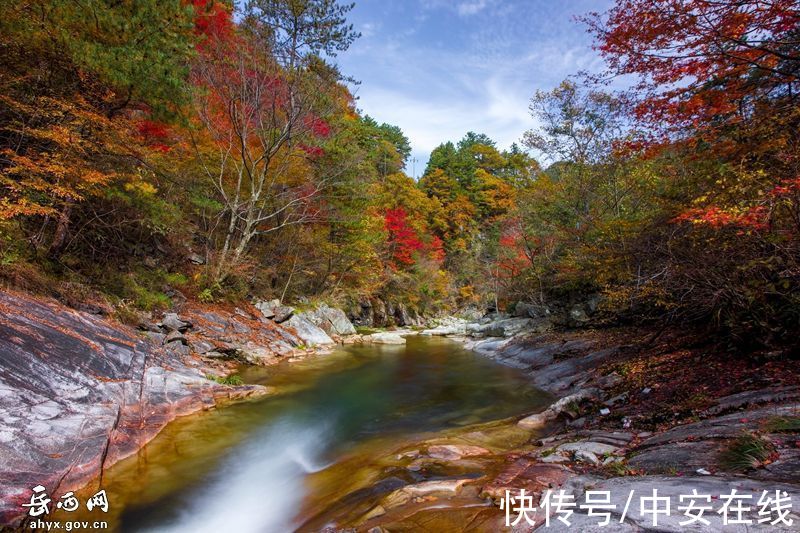 大别山|“岳西红”，大别山迎来绝美秋景