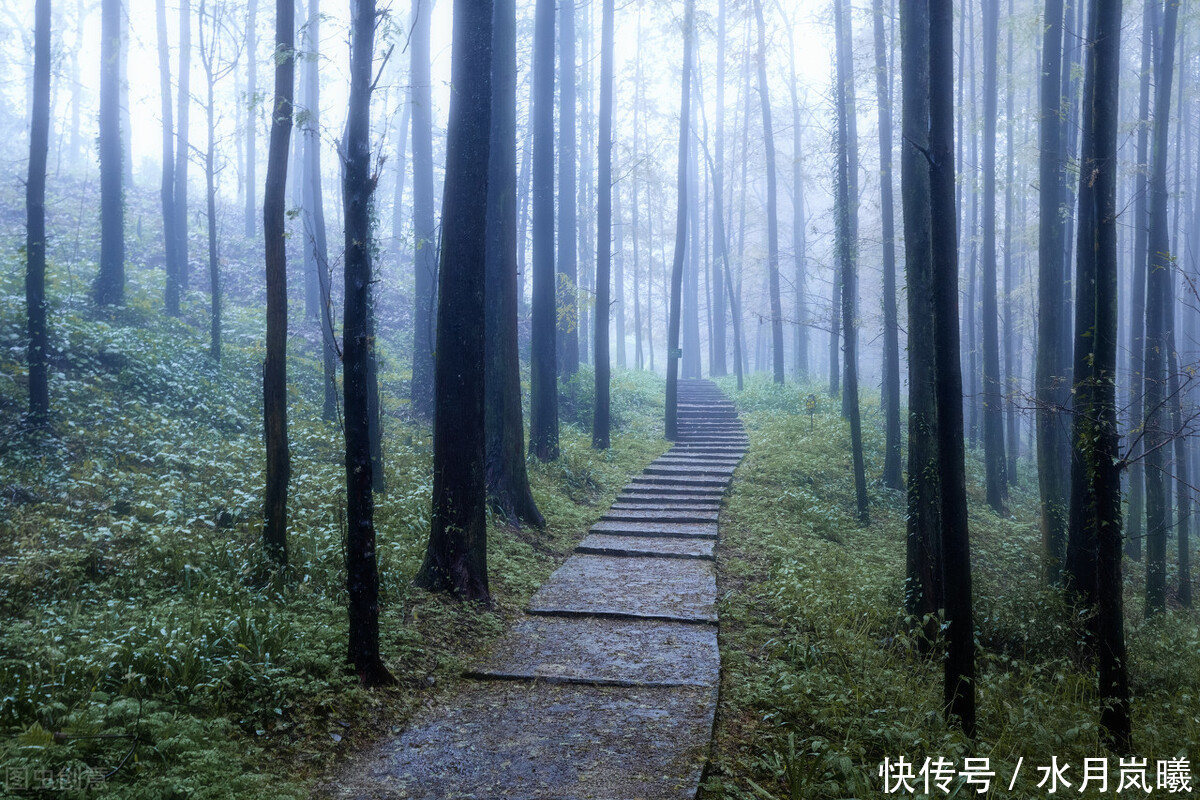  笔下|树深时见鹿，溪午不闻钟，看李白笔下的壮美河山，清浅光阴