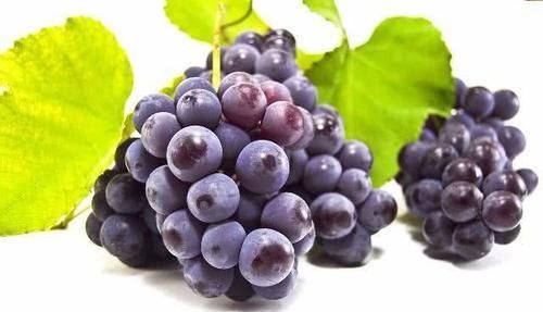 高血脂只能靠吃药? 常吃这几种天然食物, 血脂或许悄悄降下来