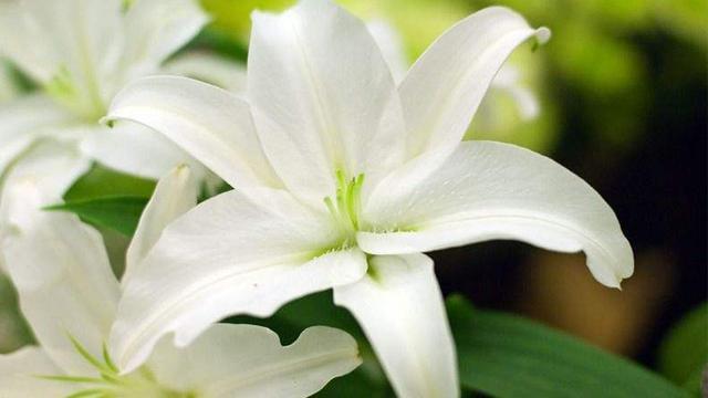 六六大吉|农历生日尾数是几的孩子,多财多福,长大后定有一番作为