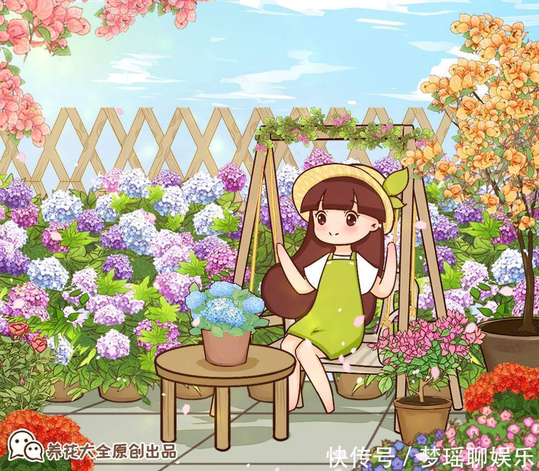 养绣球花不难,掌握6个要点,花球又大又鲜艳!