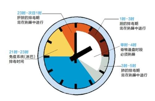 此营养汤常做给家人喝，视力变好了，不脱发了，皮肤也不粗糙了