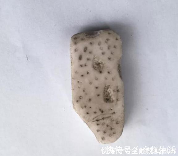 橡皮|“橡皮擦定律”火了,你家孩子是学霸还是学渣?一看橡皮就知道了