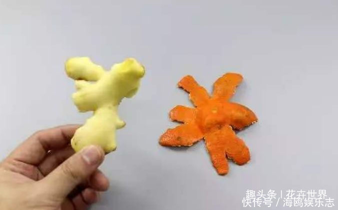 泡酒|生姜和橘子皮放一起“真厉害”,男女人见了夸赞,来试试