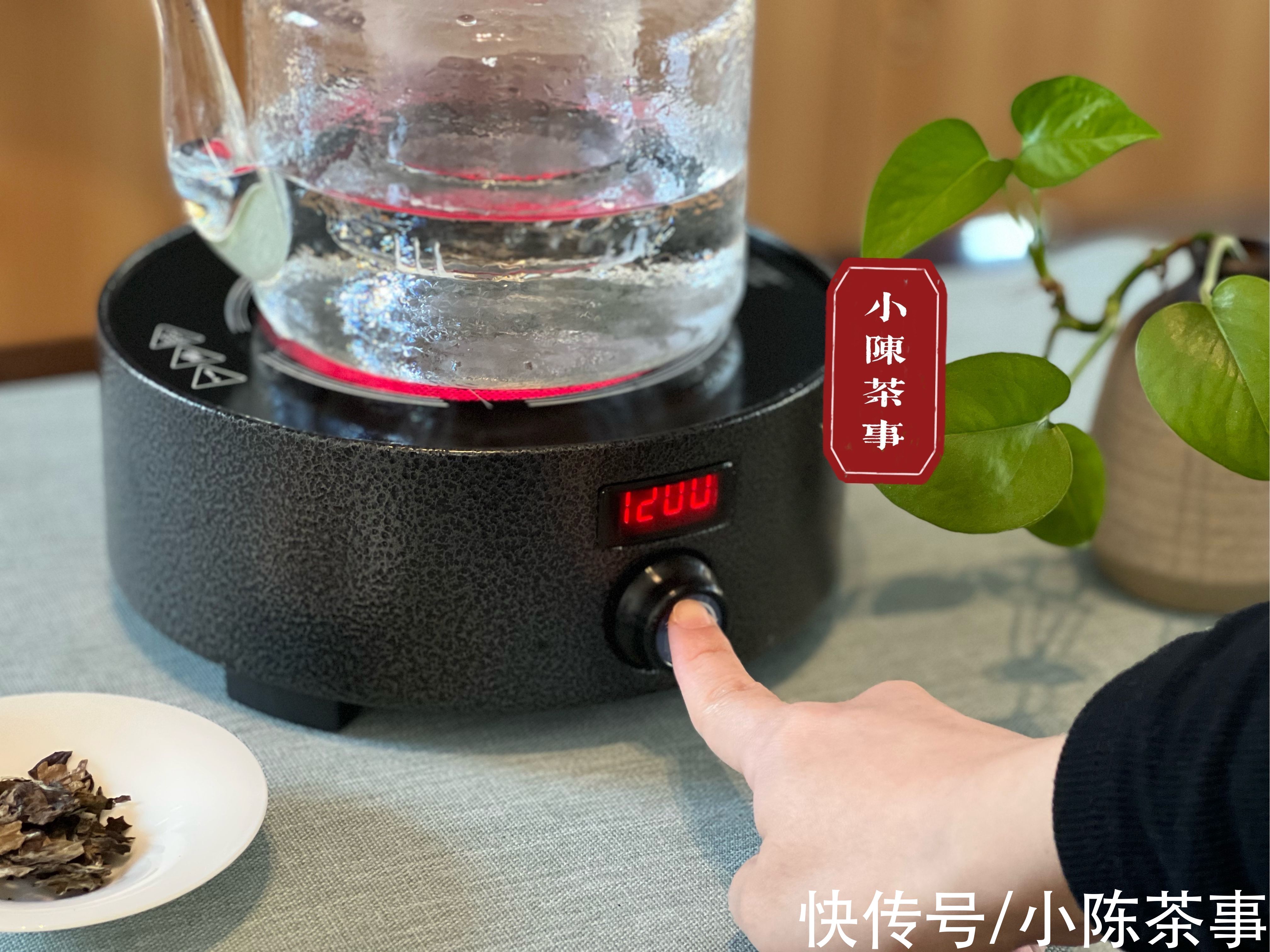 叶底#从茶器、茶叶到方法，完整的煮白茶指南教给你，真的很简单