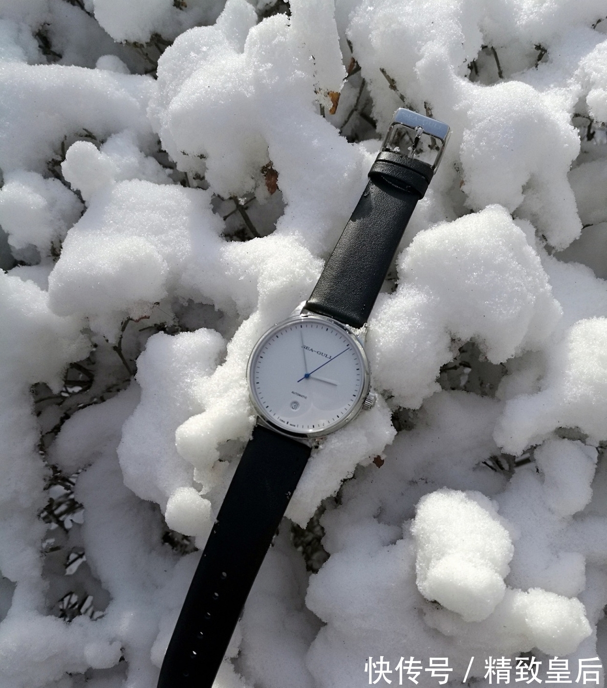 表扣 海鸥手表质量好吗,海鸥机械表时尚款试用评价