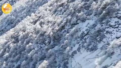 雾凇|秦岭太白山雪后雾凇美景好像童话世界 穿好棉衣出去玩吧！