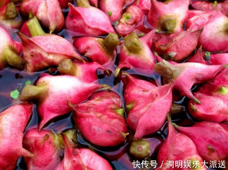 苜蓿|夏天多吃以下野菜，凉拌、包饺子最好吃，还能清热解毒、补脾胃