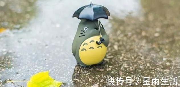 红豆|头顶上有个“祛湿穴”，每天一按，排湿气，健脾胃，失眠改善了