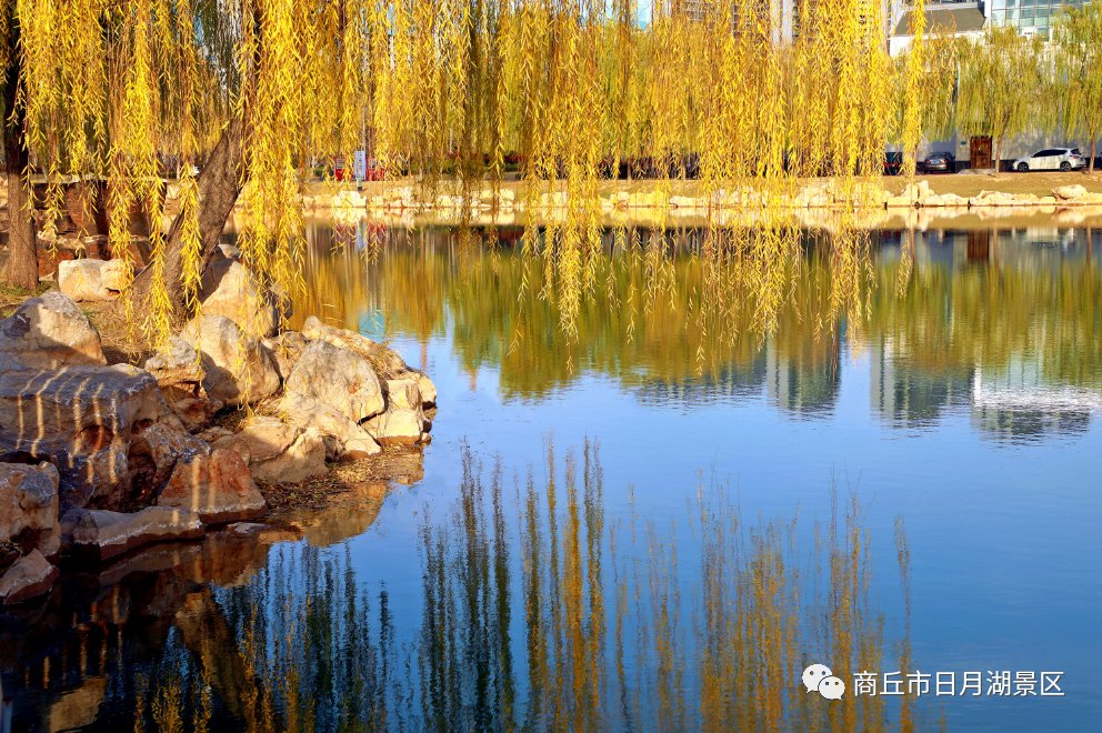 【商丘美景】商丘市日月湖景区：冬风拂面 暖阳高照