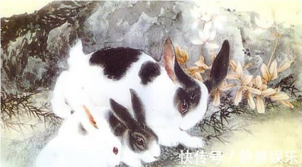 三个人|生肖兔：尤其是1975年属兔人一生最旺谁？看看其中有你吗！