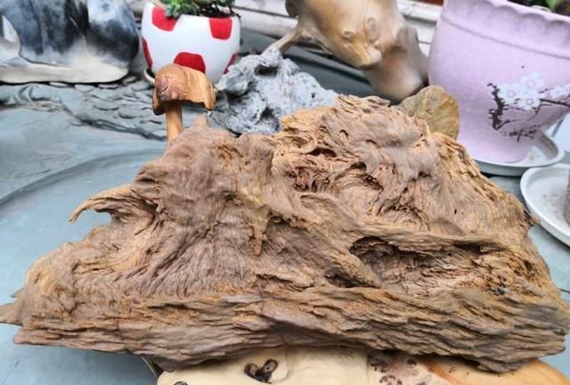 行云石居|一块像凤凰的树化玉,有个老板愿出五万购买