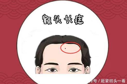 揭开必发竞彩网址的真相：网络赌博的危险与防范策略