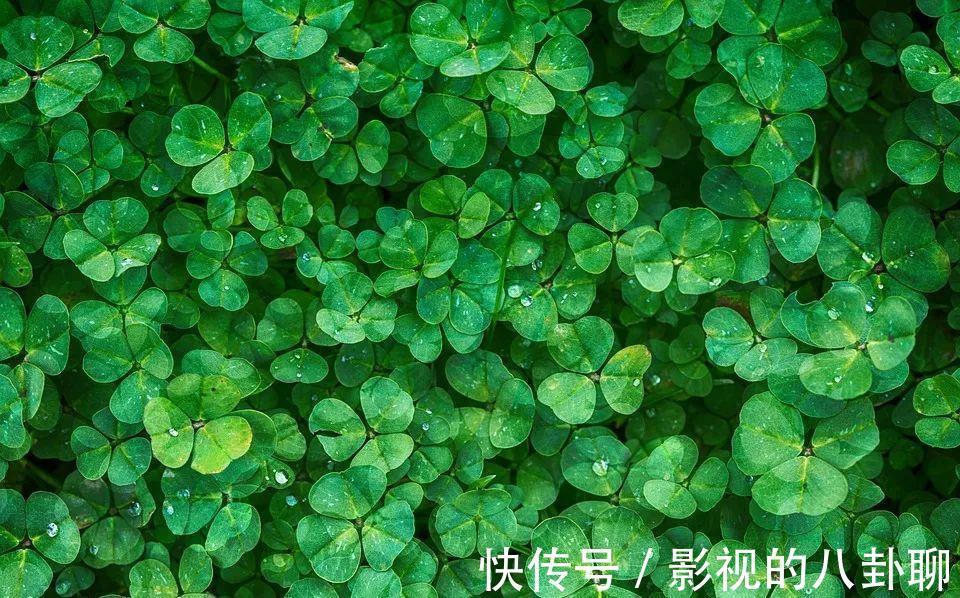 呵护|“生命教育”是父母给孩子的礼物,呵护孩子“感知生命”的天赋!