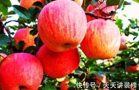 季节|秋天季节,多吃以下几种食物,补肾益发美容养颜,好处多多