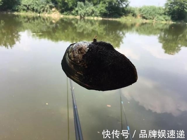 浮漂|下竿便中鱼,以为刚开始实际已结束,钓鱼中的五大“未解之谜”