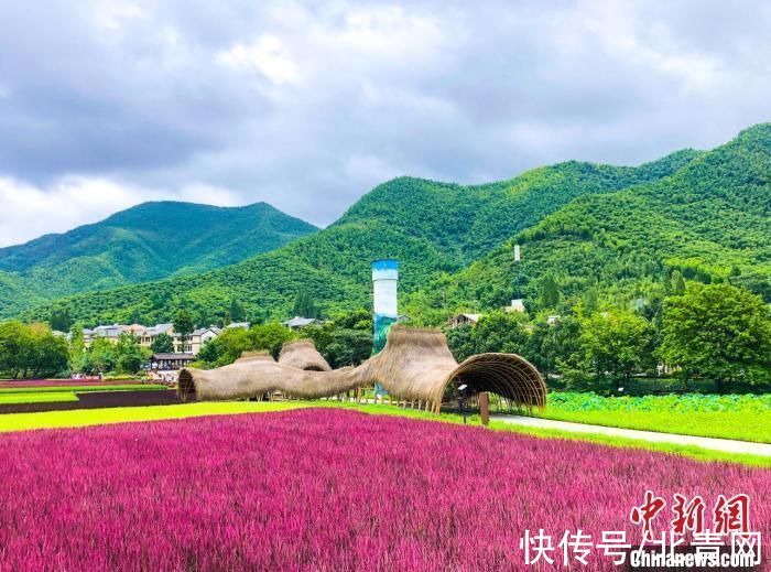 余村|浙江余村入选首届联合国世界旅游组织最佳旅游乡村