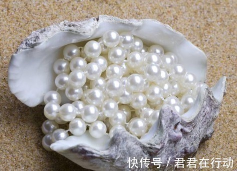 珠母贝 珍珠作为有机宝石,那么你知道该如何分辨海水珍珠和淡水珍珠吗!