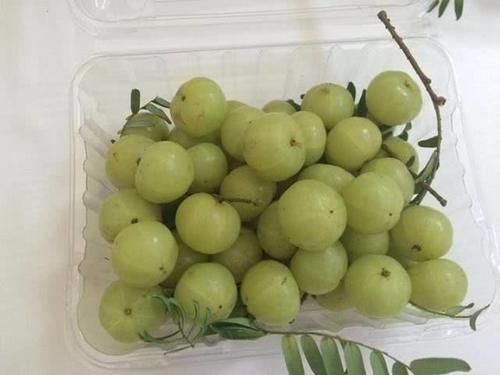 健康|每天不妨多吃3种食物,营养丰富、延缓衰老,早吃早健康!