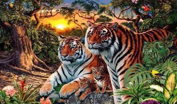 身体疲劳|爆火老年痴呆测试图中有几只老虎只看到4只的要去医院挂号了