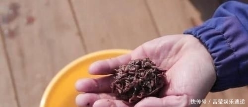 钓鱼人从新手到老手,心态上三个有趣的变化