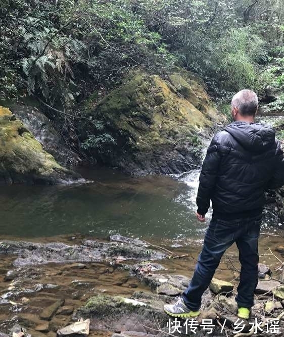 带回|去山里钓鱼,带回一盆野鱼,丑陋但鲜美,数百一斤