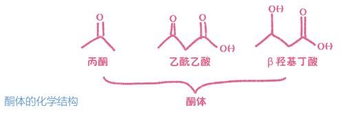 彻彻底底、明明白白搞懂“生酮饮食”