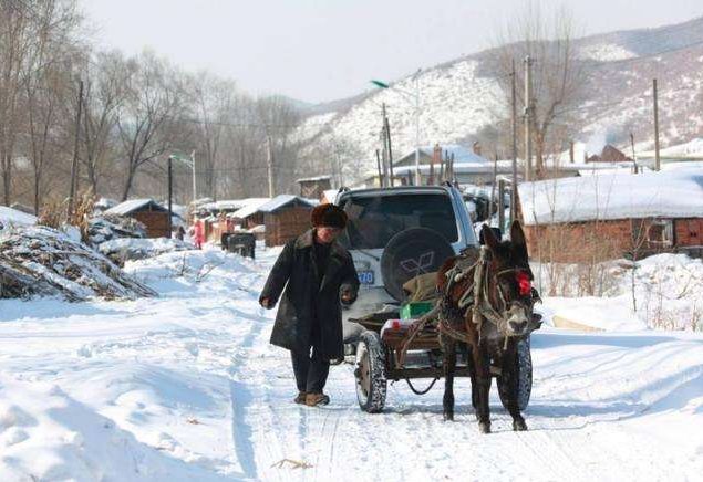  纷纷|农谚“大雪纷纷是丰年，大雪不寒明年旱”蕴含了什么含义？