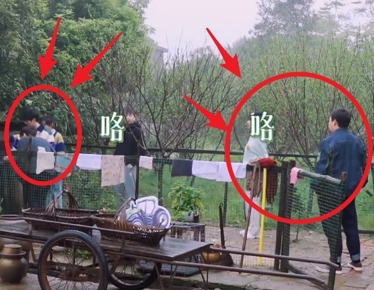 張藝興去雞窩掏雞蛋，看到張子楓的舉動，變開朗了還變調(diào)皮了