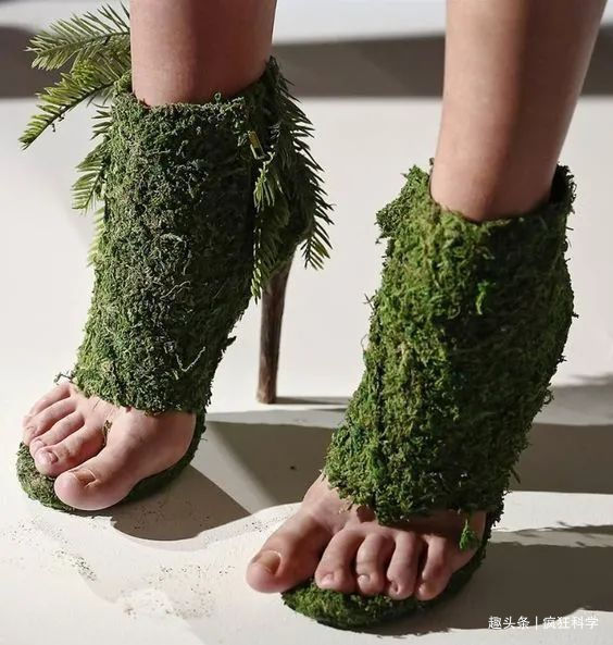 纯天然@一组脑洞大开的奇葩鞋子,设计师的创意实在让人看不懂!
