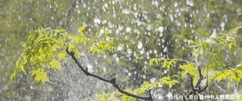 南唐$李煜最有韵味的一首词,整首词处处充满忧愁,可是又没有一个愁字