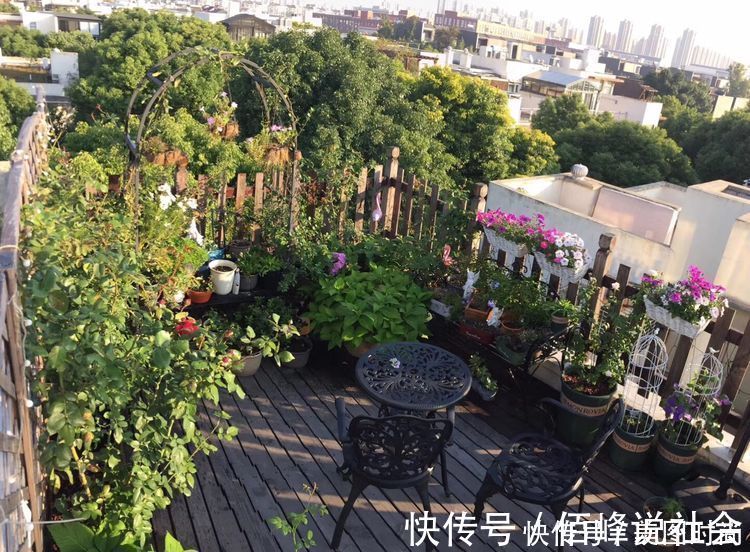 13㎡屋顶造花园,在喧嚣城市里,打造一个自己心灵深处的伊甸园