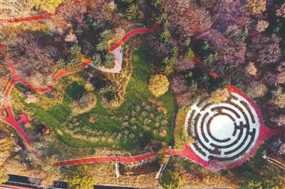 秋天|留住秋天的回忆