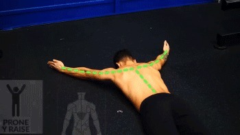 斜方肌|健身练背合集,每1块背肌都给你安排的明明白白