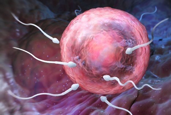 卵泡期|排卵期女性身体4大变化准确计算排卵期这样才科学