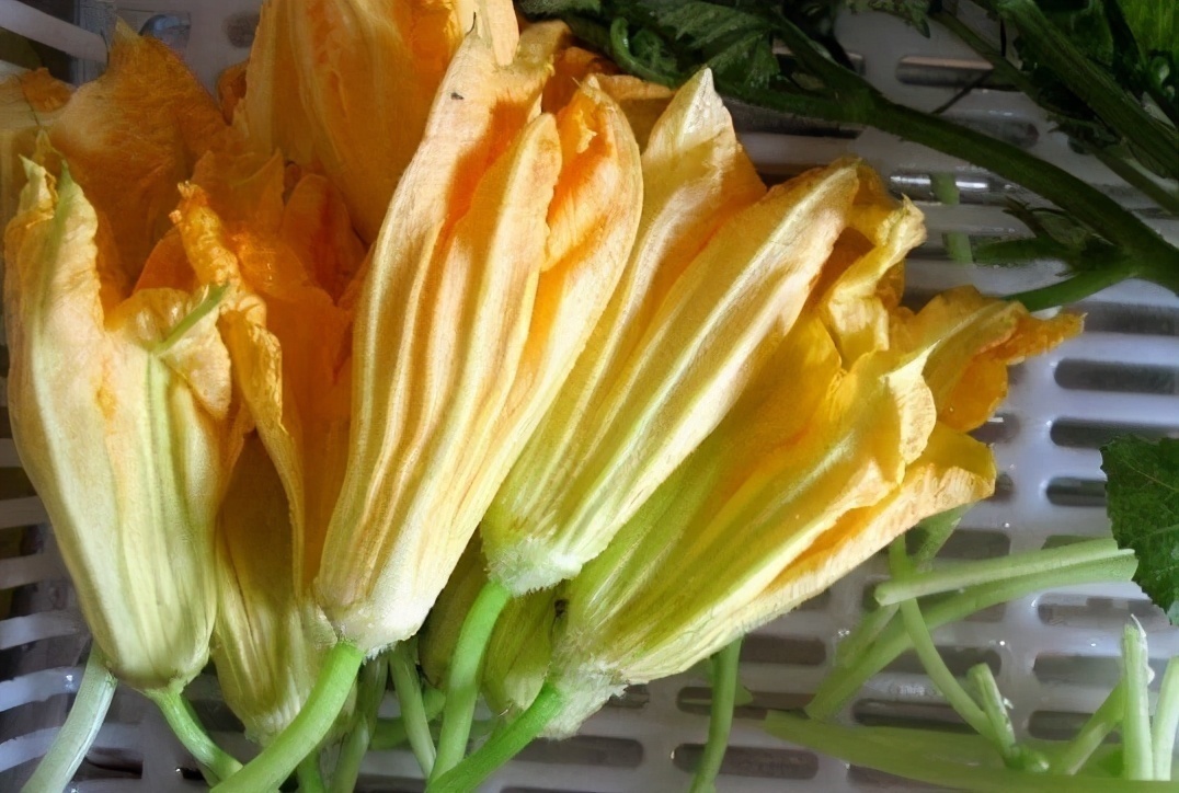 南瓜花|女性不想满脸皱纹,不妨吃三种食物,滋养血液,延缓衰老,显年轻