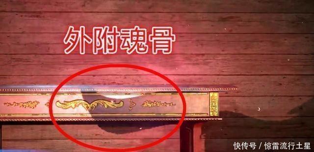 曝光|斗罗115集胡列娜“外附魂骨”曝光,长出尾巴的她,更魅惑了!