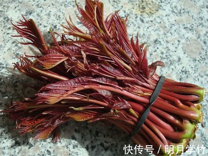 芳香族|立秋后,不妨多吃此野菜,能补阳滋阴,润滑肌肤,早知早受益