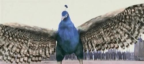  人物|孔宣是准圣级别的人物, 为什么要故意助纣为虐