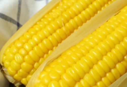 黄曲霉菌|让人倒下的不是病，而是无知吃玉米有3个禁忌，很多人不知道