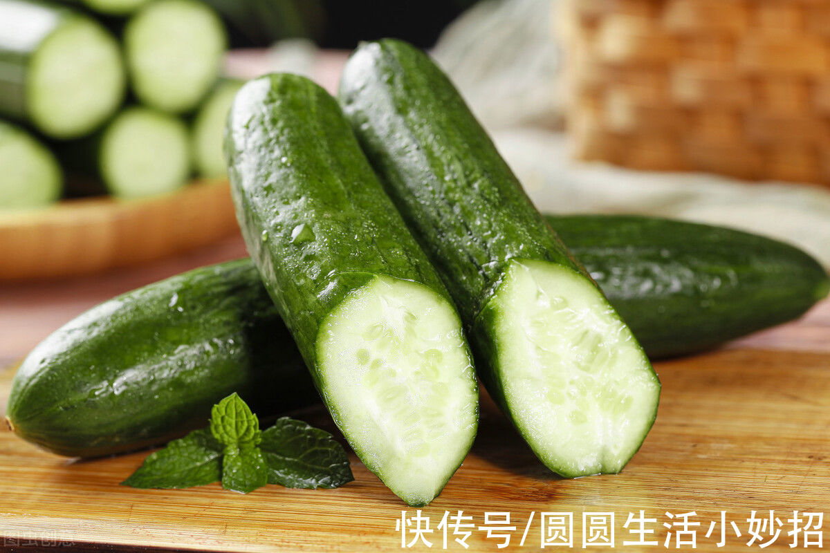 黄瓜|黄瓜打了激素如何辨别？老菜农：有这5点特征不要买，会吃坏肚子